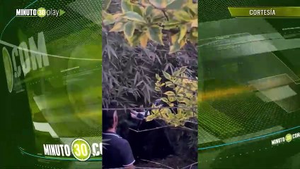 Grave accidente un carro rodó hacia un abismo en l