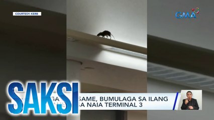 Saksi Part 1: Daga sa NAIA; Sunog sa bodega ng tela; Balat ng ahas