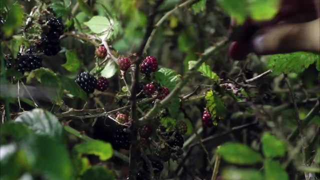 O Corno, une histoire de femmes Bande-annonce VO