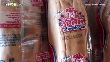 Video herunterladen: En Santa Marta denuncian panes con hongos enviados por la PAE estudiantes terminaron intoxicados