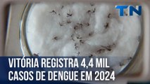 Espírito Santo registra 38 mil casos de dengue em 2024