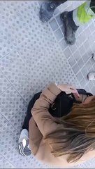 resgate, gato, Valência