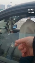 Une mère se fait contrôler par des policiers puis reçoit un précieux soutien de leur part