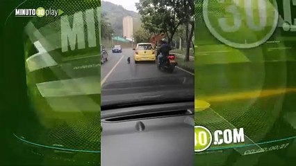 Esta mascota La dejaron por el sector de ditaires