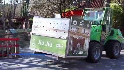 Ισπανία: Μια οικογένεια πάντα ταξιδεύει προς την Κίνα