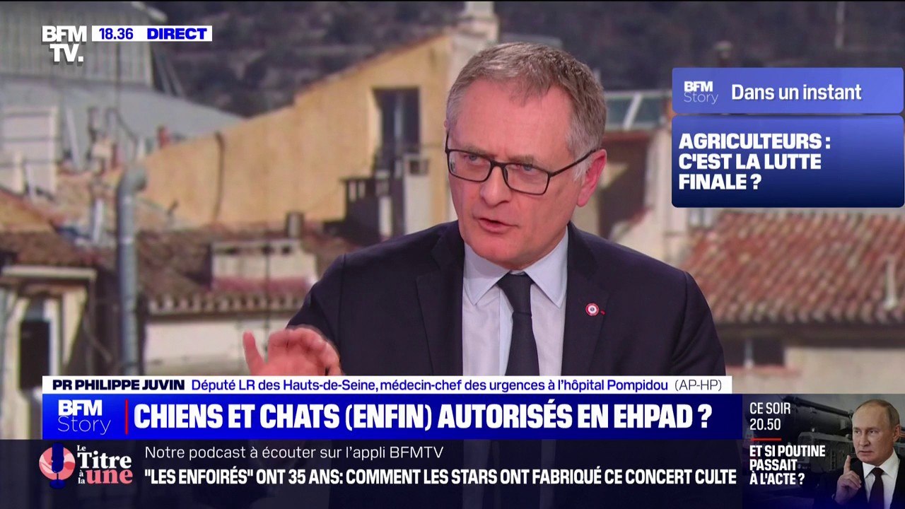 "Avoir un chien ou un chat, c'est bon pour la santé": Le député (LR) et médecin Philippe Juvin évoque son amendement qui vise à inscrire dans la loi le droit d'emménager en Ehpad avec son animal