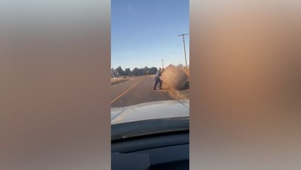 State trooper moves massive hay bale out of road: ‘Never miss leg day’
