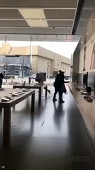 Vol en plein jour dans un Apple Store à Nanuet, New York