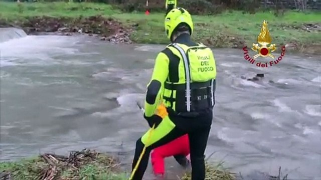 Vernio, cani salvati dai vigili del fuoco