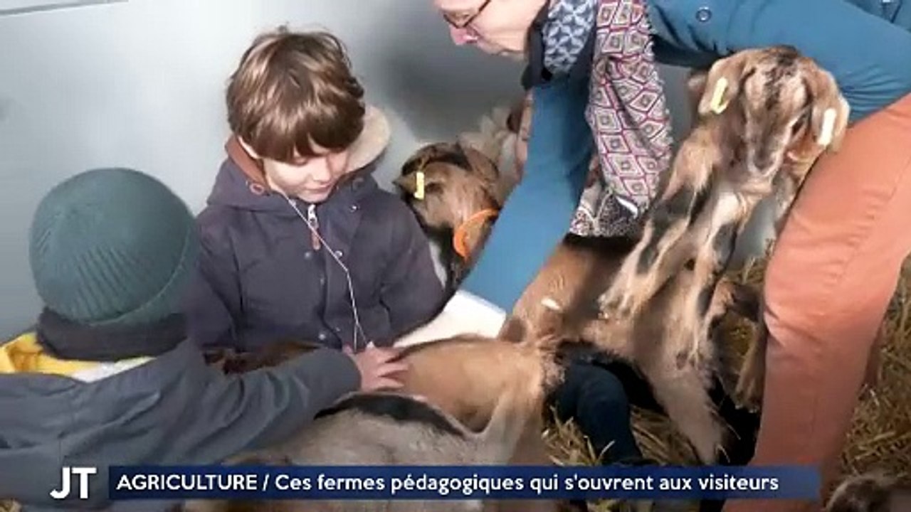 AGRICULTURE / Ces fermes pédagogiques qui s'ouvrent aux visiteurs