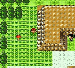 Pokémon Version Or online multiplayer - gbc