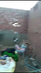 VID-20231116-WA0035
