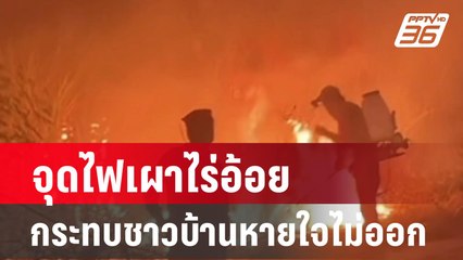 จุดไฟเผาไร่อ้อยกระทบชาวบ้านหายใจไม่ออก| เที่ยงทันข่าว | 3 มี.ค. 67