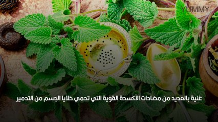 فوائد عشبة المليسة المهدئة للأعصاب