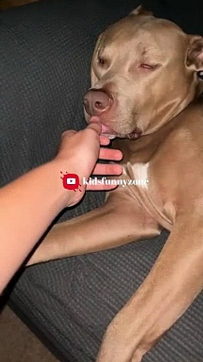 The Funniest Fails and Bloopers (Try Not to Laugh Challenge) part-33