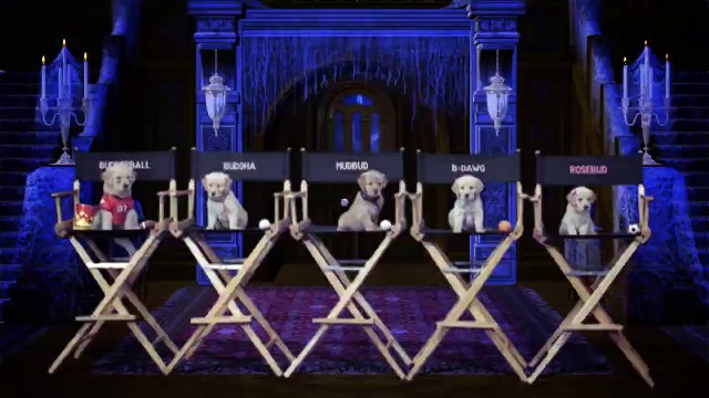 Les copains et la légende du chien maudit Bande-annonce (EN)