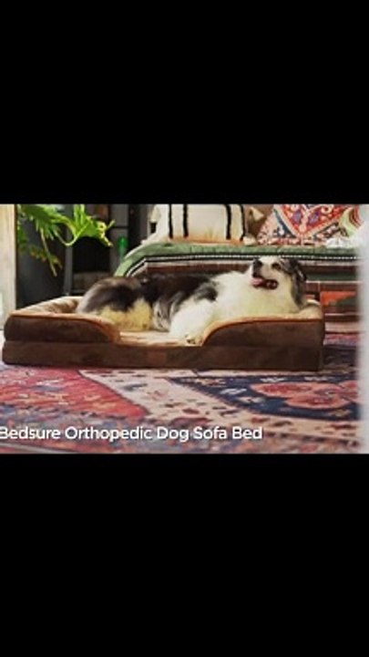 Waterproof Lining Dog Beds Review