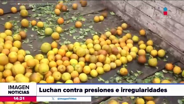 Productora Agrícola de Cítricos Potosinos denuncia irregularidades y presiones