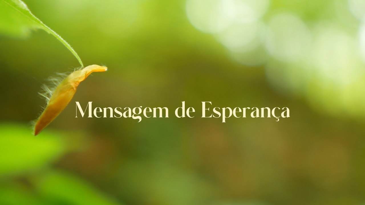 MENSAGEM DE ESPERANÇA 01.03.2024