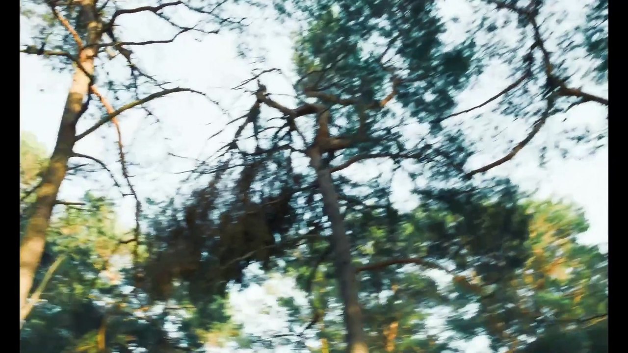 IN LIEBE EURE HILDE Film