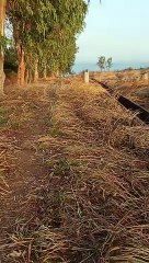 buhay security guard part 2