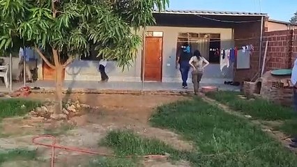 allanamientos en cuatro cañadas