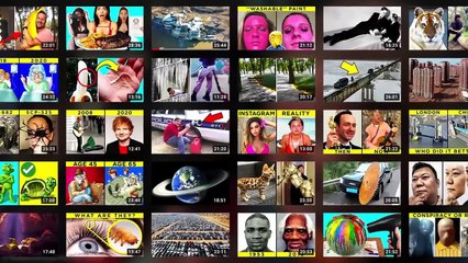 ⁷⁹ La Historia De Koko El Gorila Que Habla