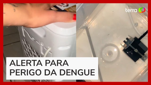 Mulher alerta seguidores após encontrar larvas de mosquito em climatizador de ar