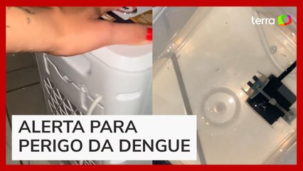 Mulher alerta seguidores após encontrar larvas de mosquito em climatizador de ar