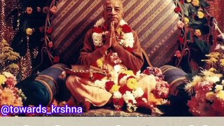 Prabhupada Finally Revealed | The Ultimate Guide to Prabhupada