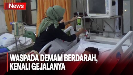 Mayoritas Anak-Anak, 9 Orang Meninggal Akibat Demam Berdarah di Jombang