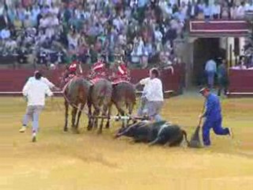 corrida 6
