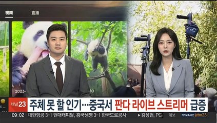 [지구촌톡톡] 주체 못할 인기…중국서 '판다' 라이브 스트리머 급증 外