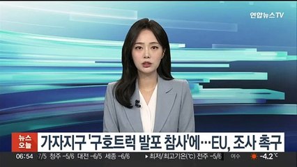 가자지구 '구호트럭 발포 참사'에…EU, 조사 촉구