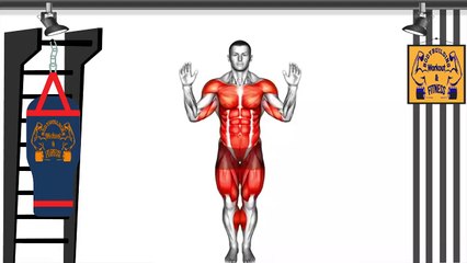 The Best Warm up Exercises for Beginners at Home - Warm up Workout