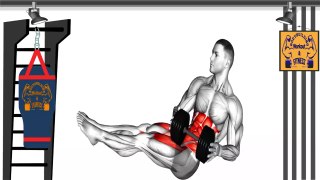 The Best Dumbbell Exercises for Abs - The Best Dumbbell Abs Workout