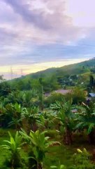 i called it paradise