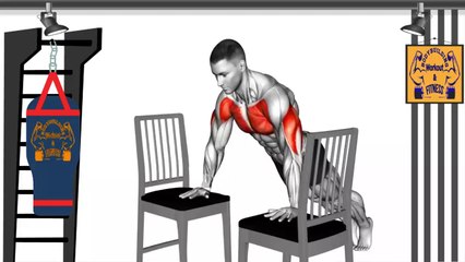 The Best 5 Minutes Home Workout (Chair Exercises) - The Best Full Body Chair Workout