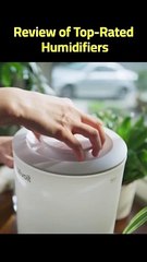 A Detailed Exploration and Review of Top-Rated Humidifiers