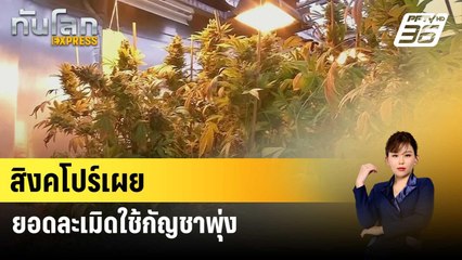 สิงคโปร์เผยยอดละเมิดใช้กัญชาพุ่งสูงสุดในรอบ 10 ปี | ทันโลก EXPRESS | 2 มี.ค. 67