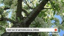 What's the difference between meteorological and astronomical spring?