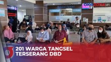 201 Warga Tangerang Selatan Terserang Demam Berdarah Dengue