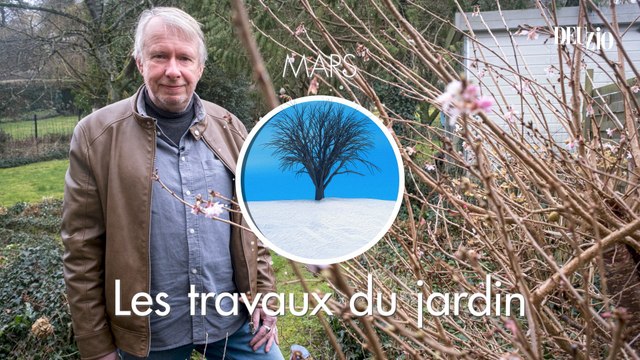 Travaux du jardin - 2 mars 2024 : des floraisons de fin d'hiver