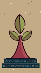 Environmental Liability Insurance A Sustainable Choice