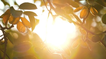 اذكار الصباح كاملة #القرآن_السنة #اذكار_الصباح