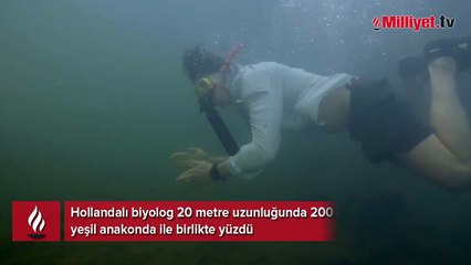 İnanılmaz video! Dünyanın en büyük yılanı ile yüzdü