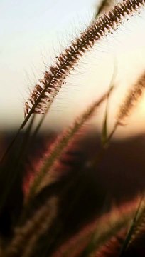 اذكار الصباح كاملة مكتوبة #القرآن_السنة #اذكار #اذكار_الصباح