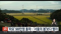 '파묘' 500만명 돌파…'서울의 봄'보다 빨라