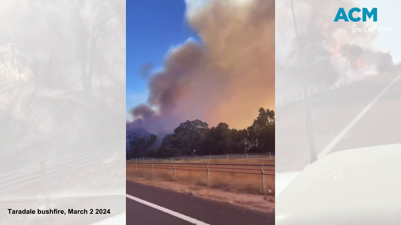 Taradale bushfire, Calder Freeway | March 2, 2024 | Bendigo Advertiser