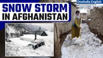 Afghanistan Snow Storm Claims 15 Lives, Leave Dozens Hurt| Response Committee Formed | Oneindia News